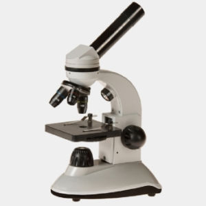 Zenith Scholaris 400 Dual LED Biological Microscope